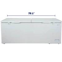 Element 21 Cu. Ft. White Two Door Chest Freezer | Electronic Express