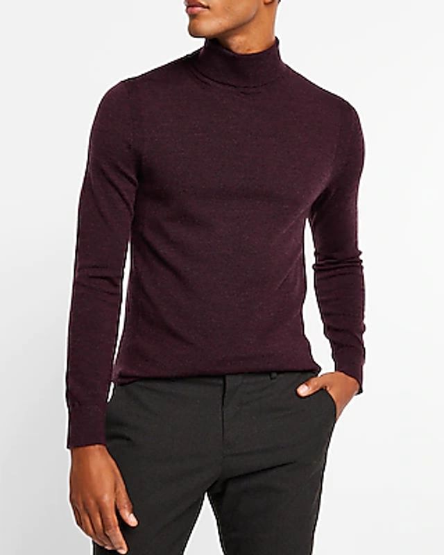 Express Solid Merino Wool Turtleneck 