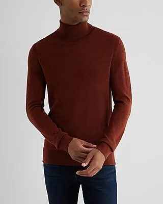 Turtleneck Merino Wool Sweater Men's L Tall