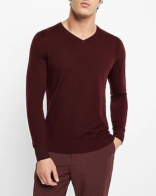 Solid Merino Wool V-Neck Sweater Purple Men's XL