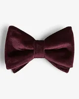 Burgundy Velvet Bow Tie Red Men's REG