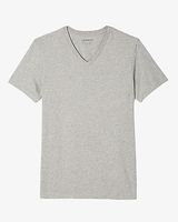 Slim Supersoft Moisture-Wicking V-Neck T-Shirt Men