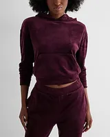 Skimming Velour Cropped Hoodie