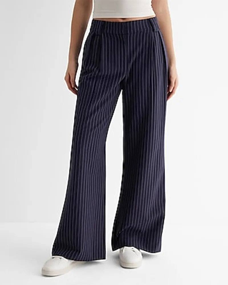 Express High Waisted Pleated Wide Leg Pant  Wide leg pants, Womens black dress  pants, High waisted
