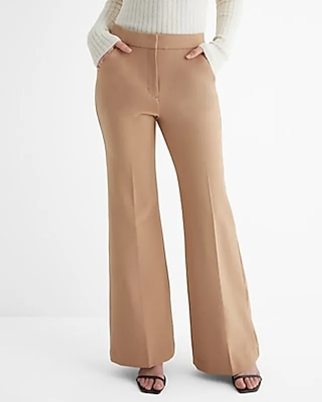 Editor High Waisted Trouser Flare Pant