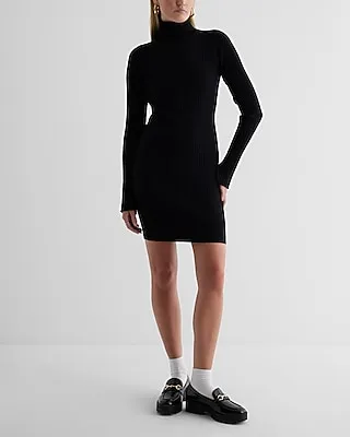 Casual,Date Night Ribbed Turtleneck Long Sleeve Mini Sweater Dress Women