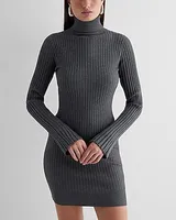 Casual,Date Night Ribbed Turtleneck Long Sleeve Mini Sweater Dress Gray Women's S