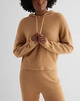 Plush Knit Hooded Sweater Brown Women's