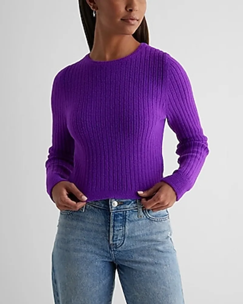 Express Fitted Ribbed Plush Knit Crew Neck Sweater Purple Women's