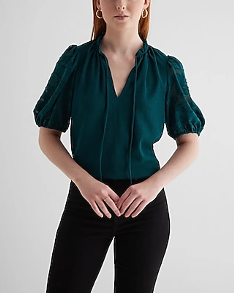 V-Neck Top with Sheer Puffy Sleeves