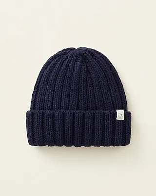 Upwest The Adventure Beanie Men's Blue