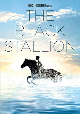 The Black Stallion