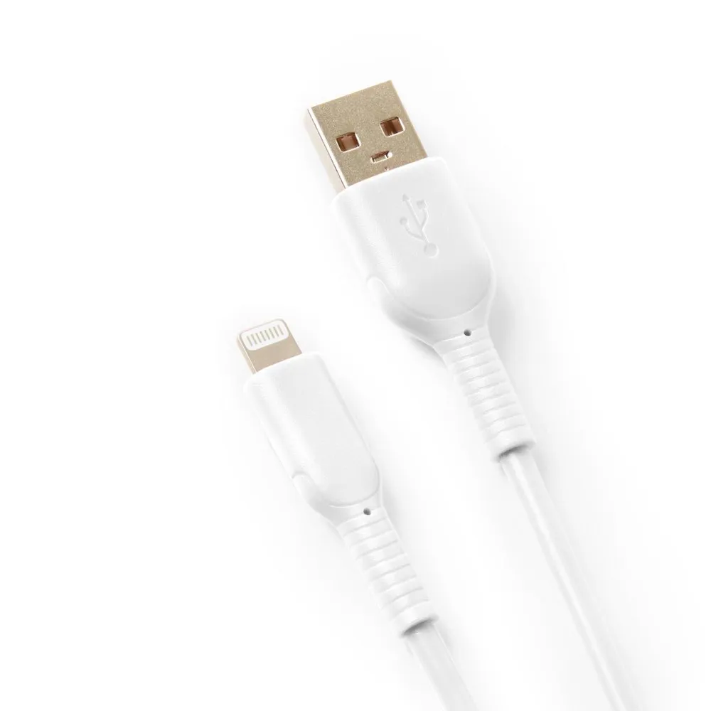 GoTo Lightning to USB A Cable, 4 ft