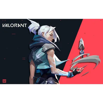 Riot Games Swag Bag - League of Legends & Valorant