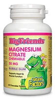 NATURAL FACTORS Big Friends Magnesium Citrate 50mg (Bubble Gum - 60 chews)