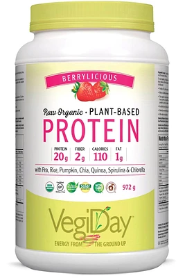 VEGIDAY Protein - Very Berry (972 g)