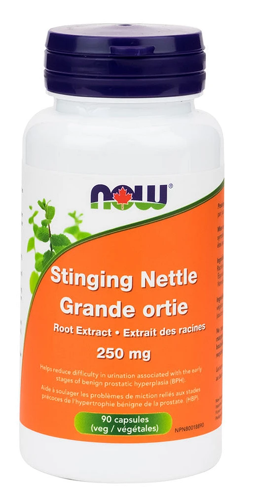 NOW Stinging Nettle Root Extract (250mg - 90 veg caps)