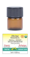 DIVINE ESSENCE Inula Sweet (Organic - 1 ml)