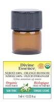 DIVINE ESSENCE Neroli 100% (Orange Blossom)(Org - 1 ml)