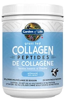 GARDEN OF LIFE Grass Fed Collagen Peptides (Unflavoured - 560 gr)