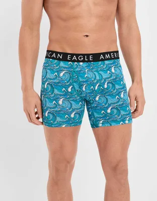 AEO Waves 6" Classic Boxer Brief