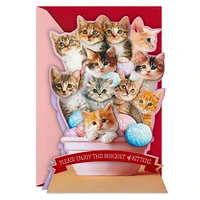 Hallmark Funny Valentines Day Card (Bouquet of Kittens)