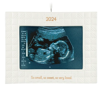 Keepsake Christmas Ornament 2024, So Very Loved 2024 Photo Frame, Porc