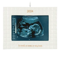 Keepsake Christmas Ornament 2024, So Very Loved 2024 Photo Frame, Porc