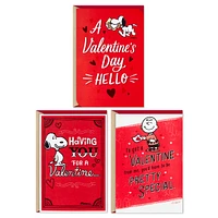 Hallmark Pack of 3 Peanuts Valentines Day Cards (Snoopy and Charlie Br