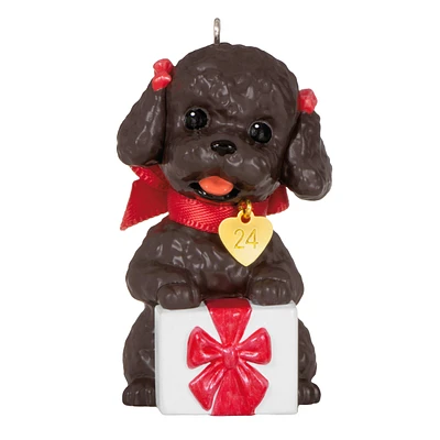 Keepsake Christmas Ornament 2024, Puppy Love Poodle 2024, Gifts for An