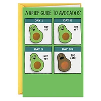 Shoebox Funny Birthday Card (Guide to Avocados)