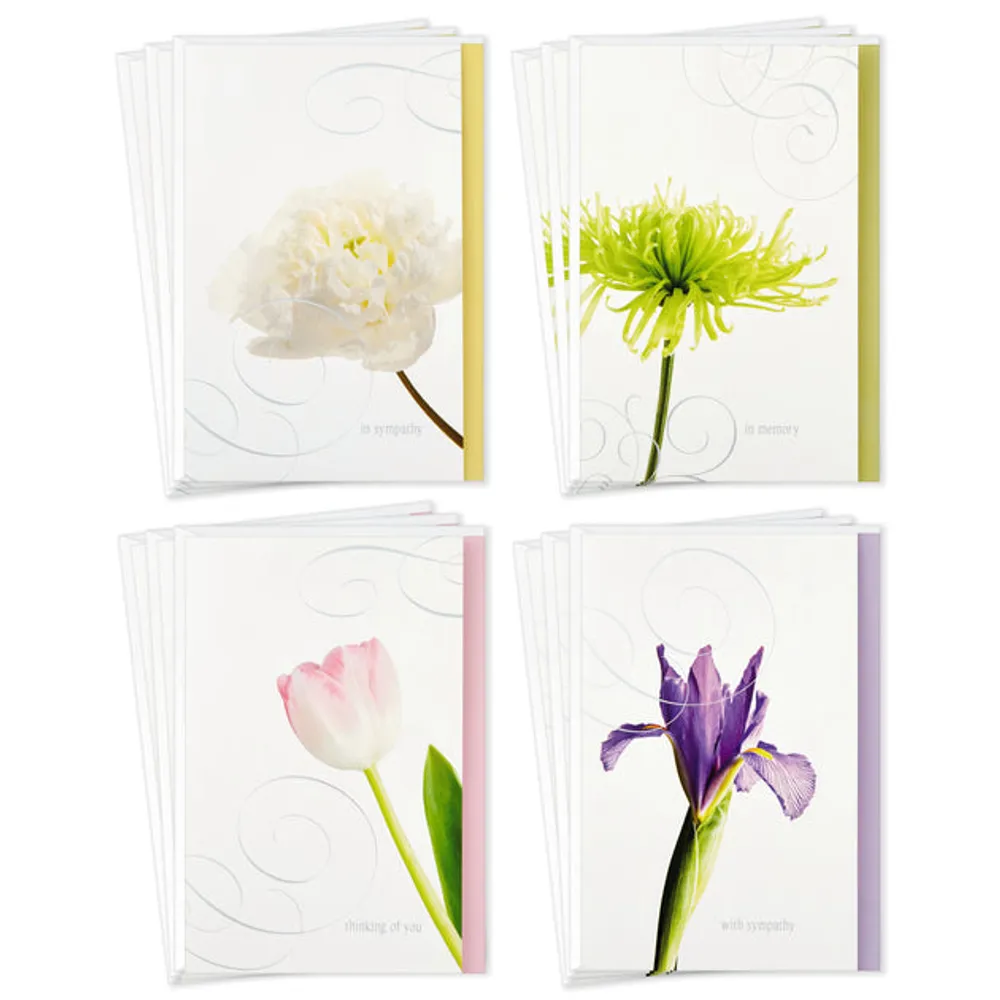 Hallmark Sympathy Cards Assortment Pack (5 Condolence Cards with Envelopes)  