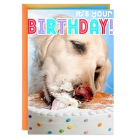 Birthday Card (Dog Eating Birthday Cake)