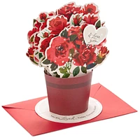 Paper Wonder Pop Up Valentines Day Card, Displayable Bouquet (Today, T