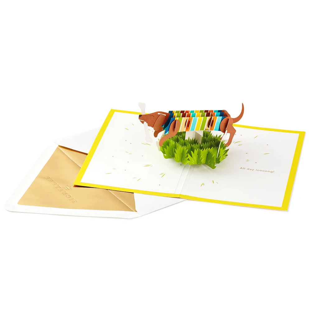 Happy All Day Long Wiener Dog 3D Pop Up Card