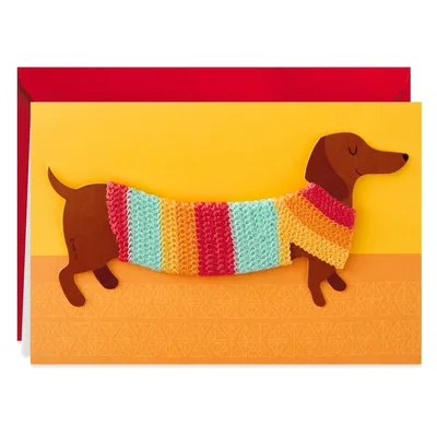 Wiener Dog in Sweater Birthday Card