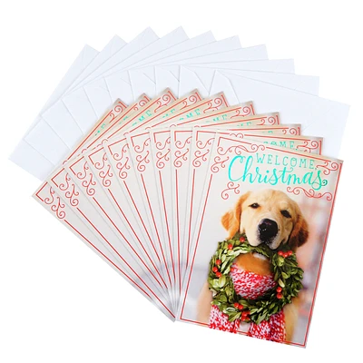 Christmas Cards Pack, Puppy with Wreath (10 Cards with Envelopes)