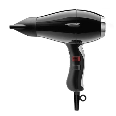 ELCHIM 3900  Healthy Ionic Hair Dryer