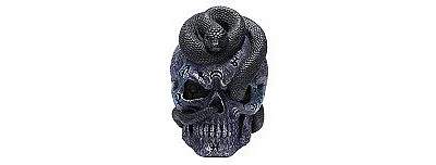 Mystical Arts Snake Skull