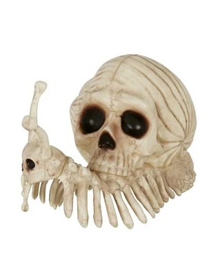 Skeleton Skull Snail