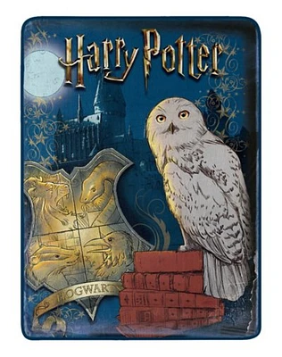 Harry Potter Magical World Fleece Blanket