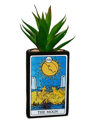 The Moon Tarot Card Planter