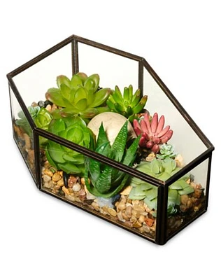 Skull Terrarium