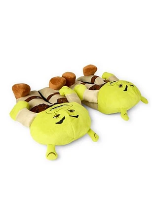 Shrek Slippers