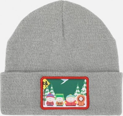 Gray South Park Beanie Hat