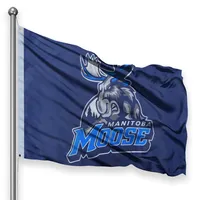 MOOSE 3 X 5 FLAG