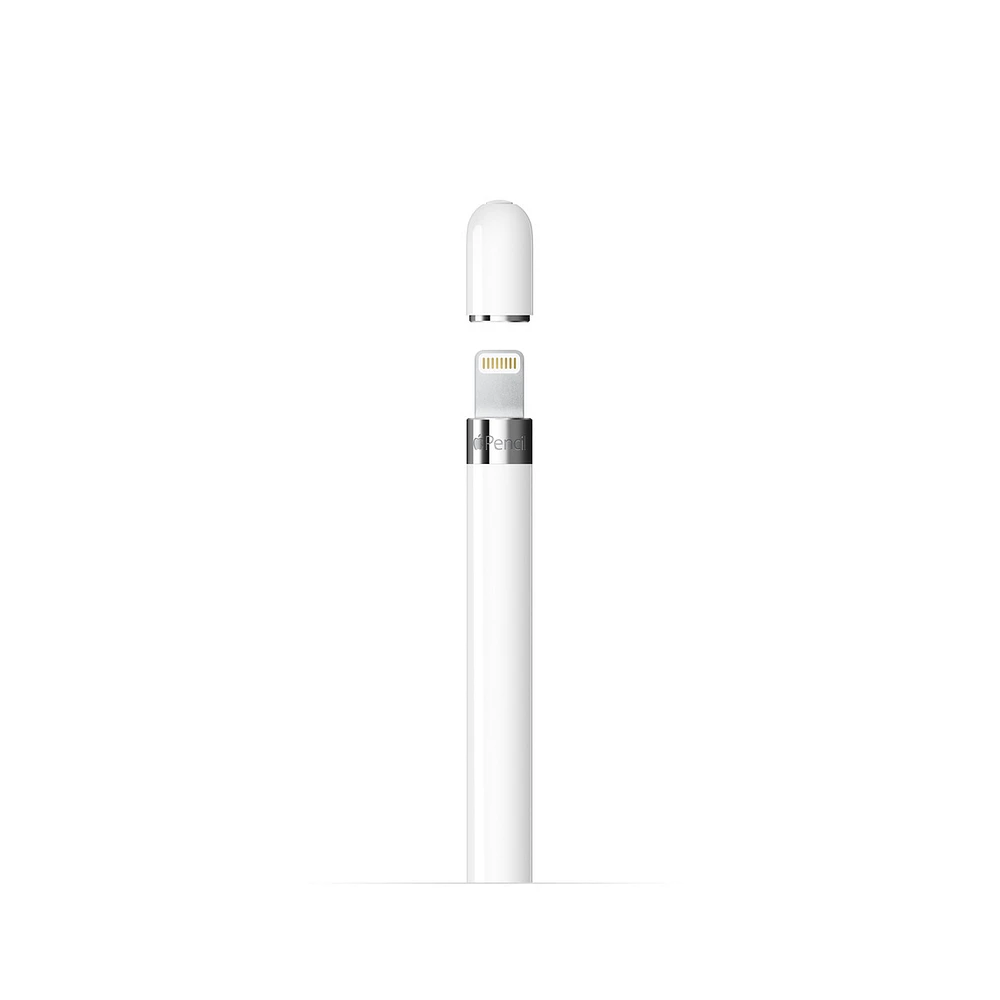 Apple Pencil (1st Generation) with USB-C adapter