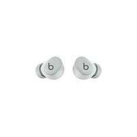 Beats Solo Buds - True Wireless Earbuds - Storm Gray