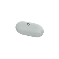 Beats Solo Buds - True Wireless Earbuds - Storm Gray