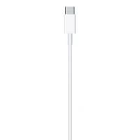 USB-C to Lightning Cable (2 m)